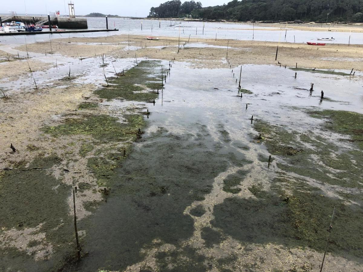 Alojamientos Rias Baixas- Casa Castillejos- Carril Vilagarcia de Arousa Dış mekan fotoğraf